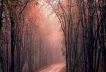 j9：赵宇：搞金元足球没问题，前提是得花自己的钱而非借钱搞.