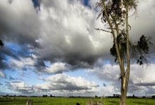 [图]帕夫洛维奇破门凯恩伤退 拜仁1-1勒沃库森.