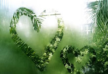 [图]帕夫洛维奇破门凯恩伤退 拜仁1-1勒沃库森.